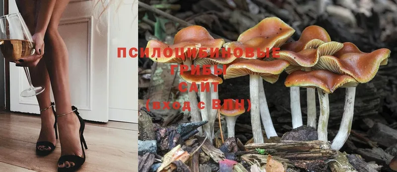 Галлюциногенные грибы MAGIC MUSHROOMS  как найти закладки  Тюкалинск 